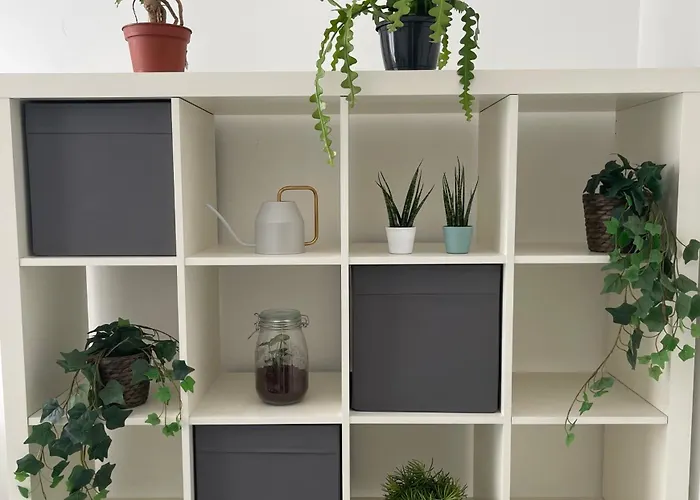 Appartement Ami House *